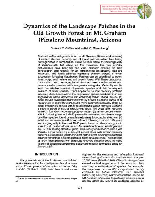 Dynamics of the Landscape Patches in the Old Growth Forest on Mt. Graham (Pinaleno Mountains), Arizona
