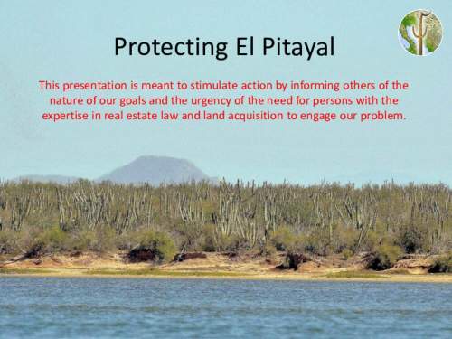 Protecting El Pitayal, conserving coastal thorn-scrub in Sonora