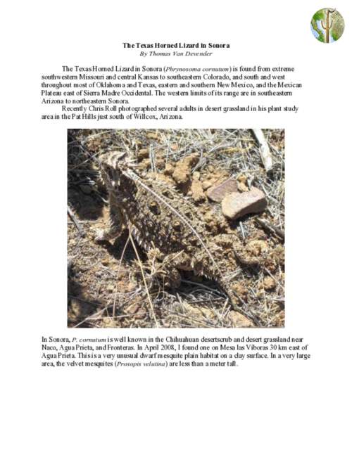 The Texas Horned Lizard in Sonora (Phrynosoma cornutum)