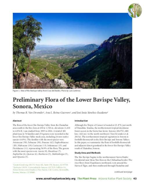 Preliminary Flora of the Lower Bavispe Valley, Sonora, Mexico