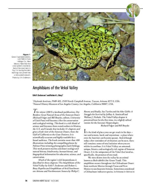 Amphibians of the Vekol Valley