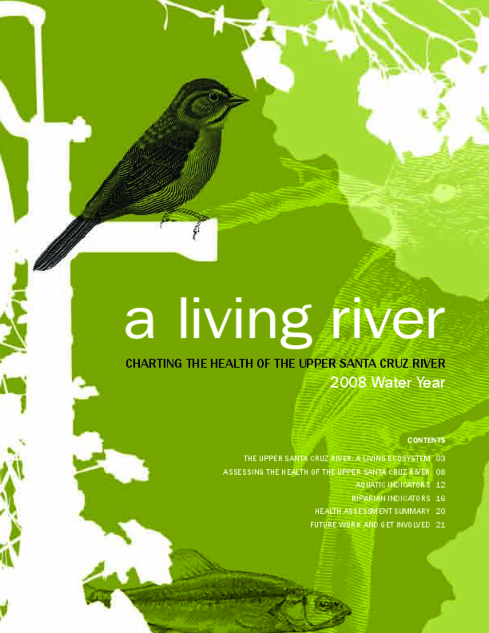 A Living River: Charting the Health of the Upper Santa Cruz River, 2008