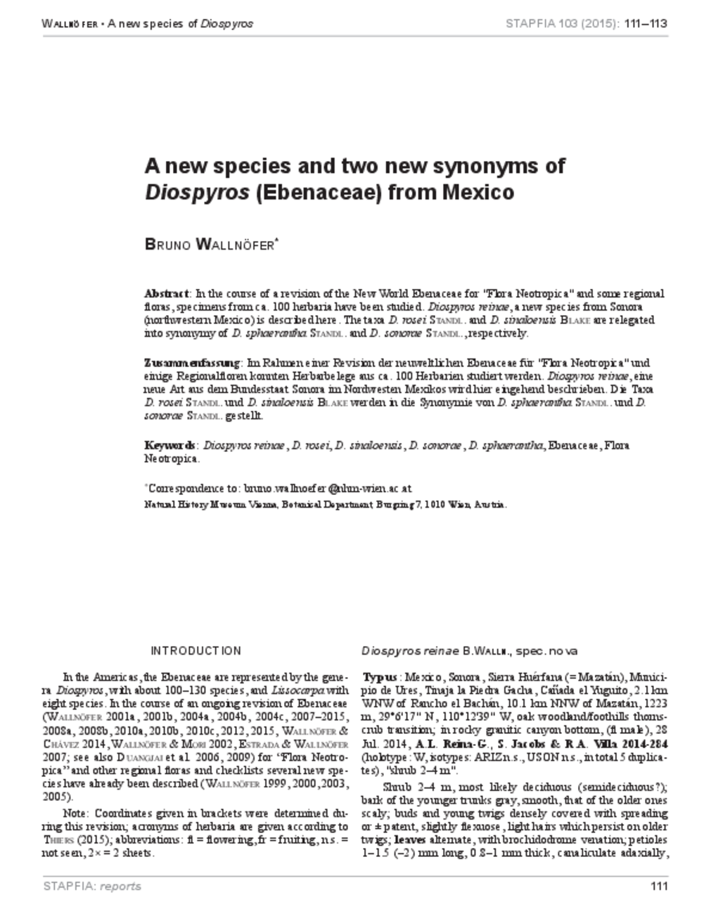 A new species and two new synonyms of Diospyros (Ebenaceae) from Mexico