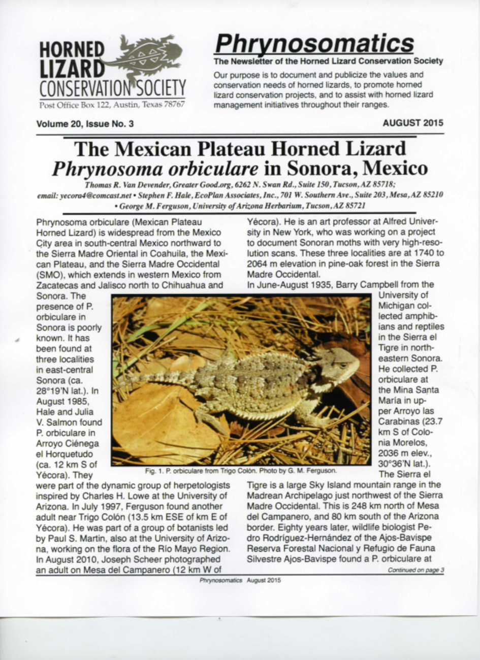 The Mexican Plateau Horned Lizard Phrynosoma orbiculare in Sonora, Mexico