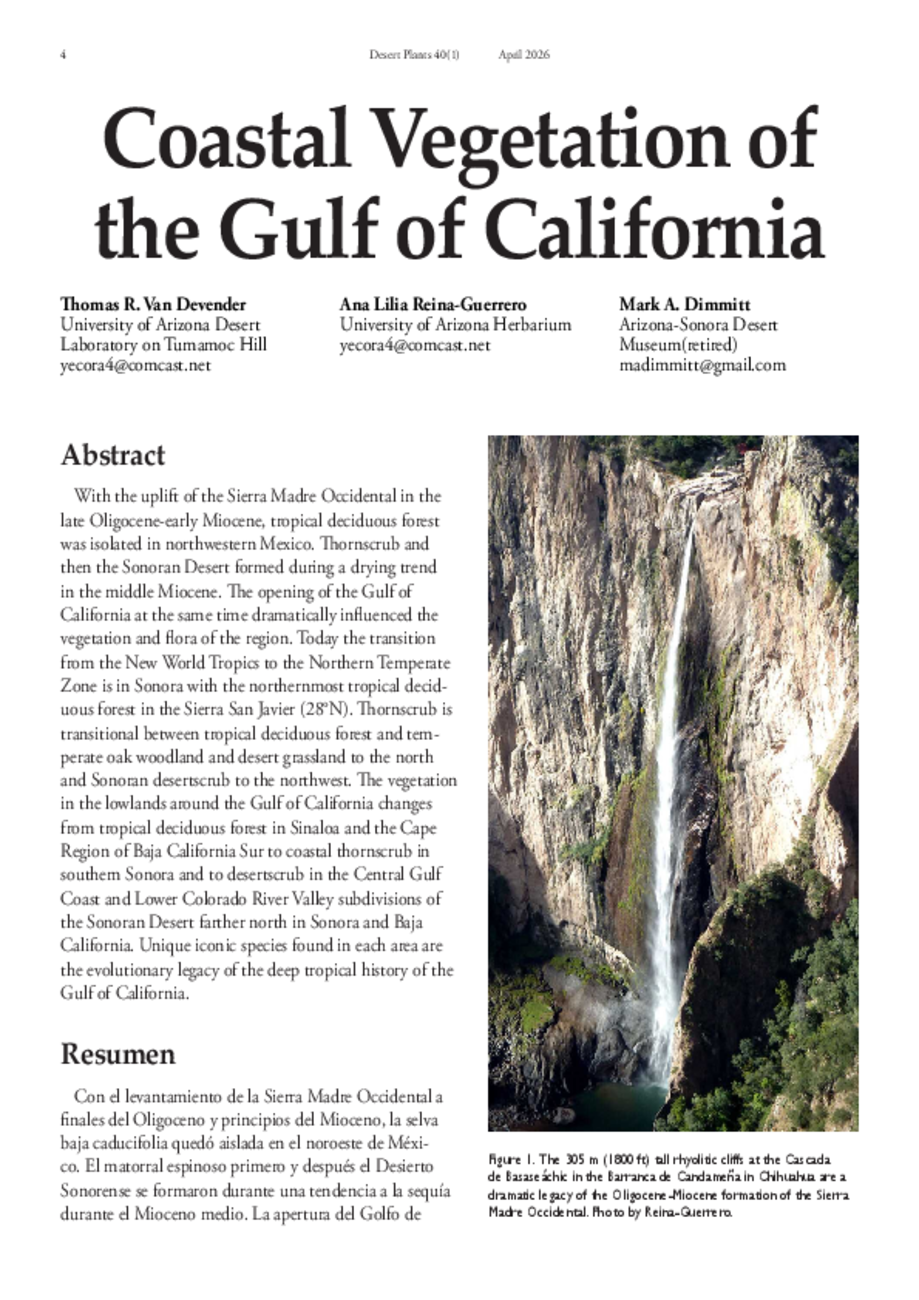Coastal Vegetation of the Gulf of California