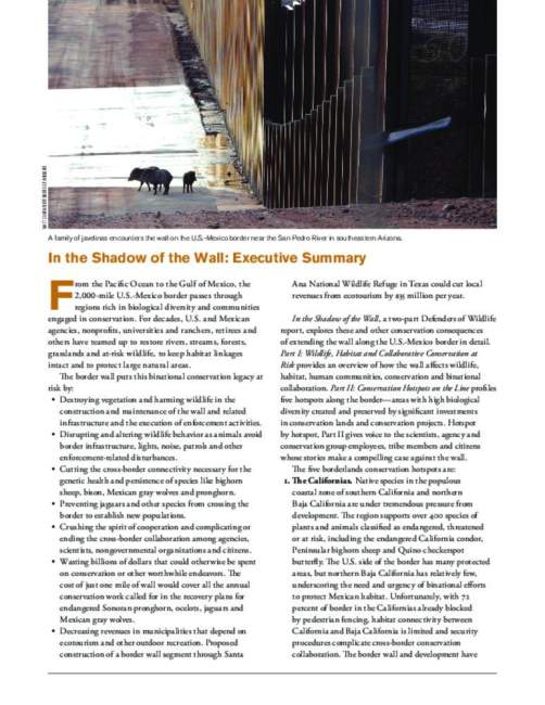 In the Shadow of the Wall - Executive Summary