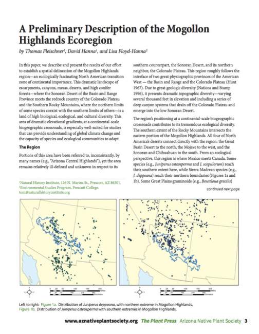 A Preliminary Description of the Mogollon Highlands Ecoregion cover A Preliminary Description of the Mogollon Highlands Ecoregion cover