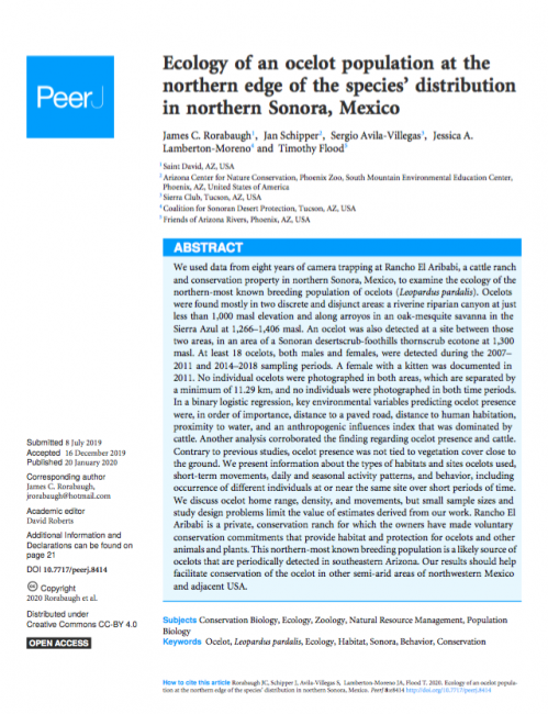 Cover of Ecology of an ocelot population at the northern edge of the species’ distribution in northern Sonora, Mexico Cover of Ecology of an ocelot population at the northern edge of the species’ distribution in northern Sonora, Mexico