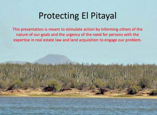 Protecting El Pitayal, conserving coastal thorn-scrub in Sonora. Protecting El Pitayal, conserving coastal thorn-scrub in Sonora.