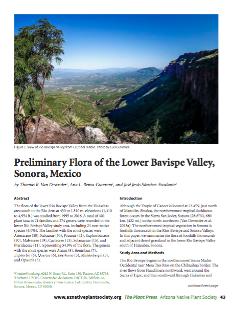 Preliminary Flora of the Lower Bavispe Valley, Sonora, Mexico cover