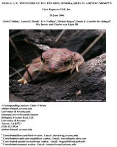 Cover of 2005 Biological Inventory 2005 Biological Inventory of the Rio Aros/Yaqui, Sonora cover