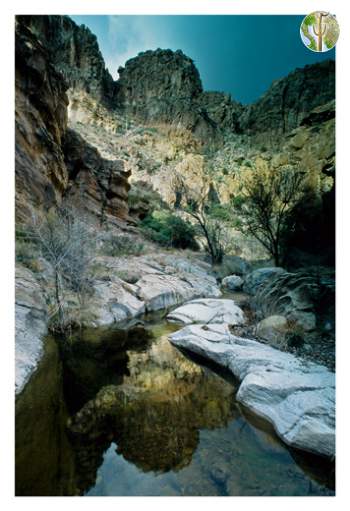 Swamp Springs Canyon, Galiuro Mountains (Bob Van Deven)