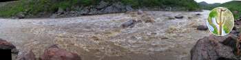 Rio Aros Morita rapid panorama