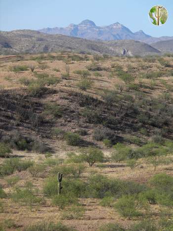 Atascosa Peak view from the south