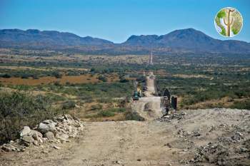 Border wall construction near Sasabe, Arizona/Sonora