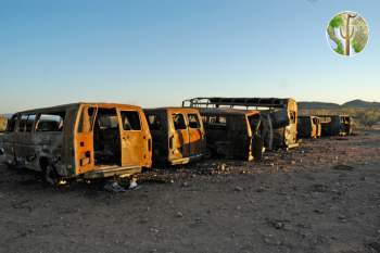 Burned out migrant vans, Sonora