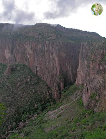 Cajon del Diablo, Sonora