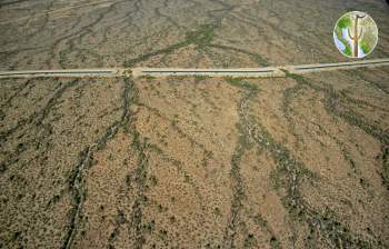 Central Arizona Project canal across Sonoran Desert