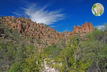 Cliffs, sky, and sycamore in Devil's Canyon, Arizona