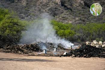 Photo: Mesquite charcoal making in the Sonoran back-country