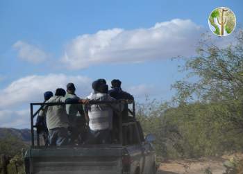 Migrants in pickup truck headed to border