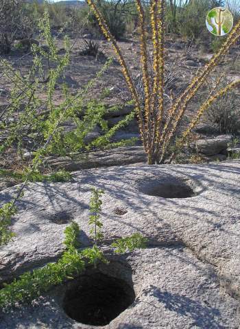 Native American grinding holes