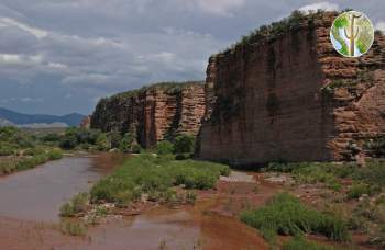 Rio Bavispe and cliffs near Bacerac, Sonora