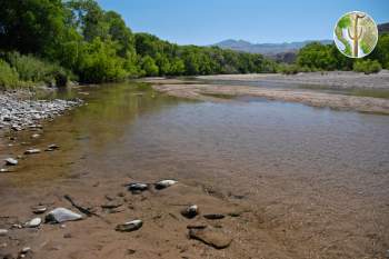 Rio Bavispe by El Tigre and just above Presa Angostura