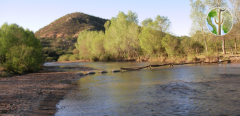 Rio Sonora, La Aurora, Sonora