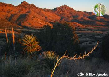 Rosemont Valley in the Santa Ritas