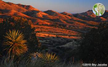 Rosemont Valley sunrise in the Santa Ritas