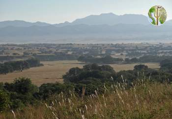 San Rafael Valley, upper Santa Cruz River watershed