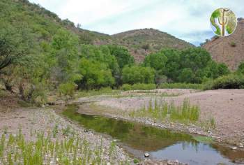 Santa Cruz River, San Lazaro, Sonora