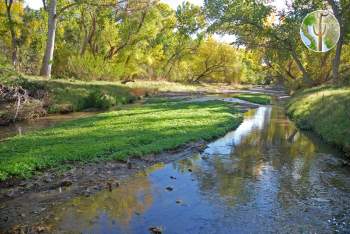 Santa Cruz River at Tubac