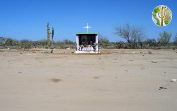 Shrine on Altar/Sasabe Highway