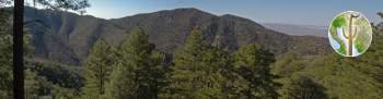 Sierra Pinito panorama