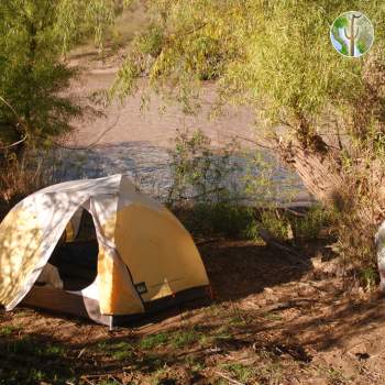 Tent on the river, Rio Aros/Yaqui