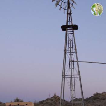 Windmill in Cabeza Prieta