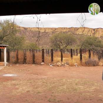 The actual ranch at Cajón del Agua, Sonora