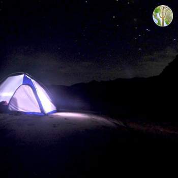 Starlight at Beach camp on Rio Aros, Sonora