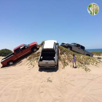 Idiots on dunes