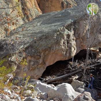 HUGE boulder in canyon bottom