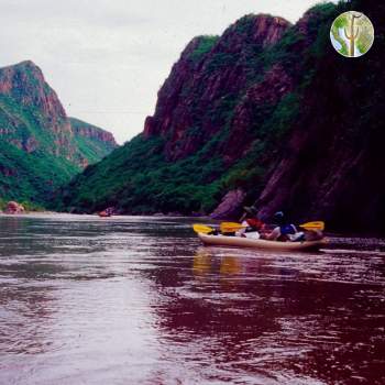 Kayaks on the Rio Aros and Yaqui