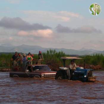 Getting accross the Rio Sahuaripa, Rio Aros and Yaqui Biological Inventory, 2005