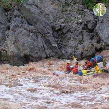 Punching the right run at La Morit rapid, Rio Aros and Yaqui