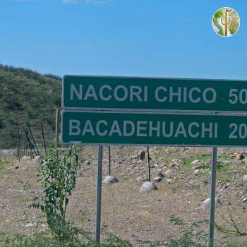 New highway to Bacadéhuachi