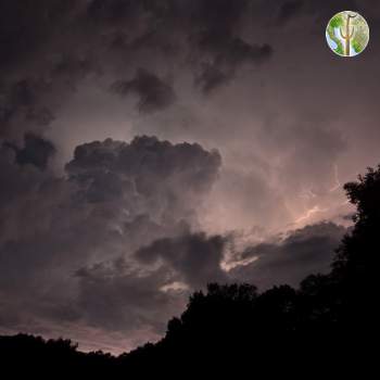Thunderstorm rolls in - lightning photos