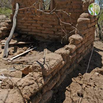 Photo: Crumbling adobe at Pozo Verde, Sonora