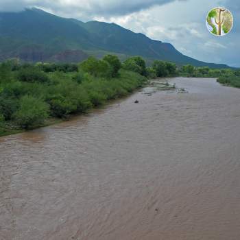 Rio Bavispe in monsoon at Huasabas