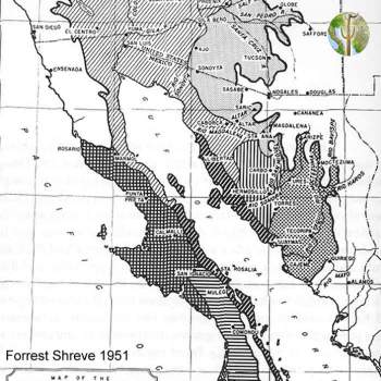 Sonoran Desert Subdivision map, Shreve 1951